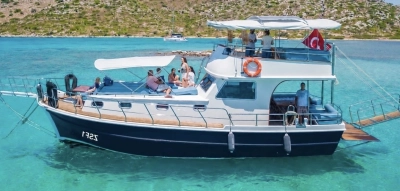 ZSF-1